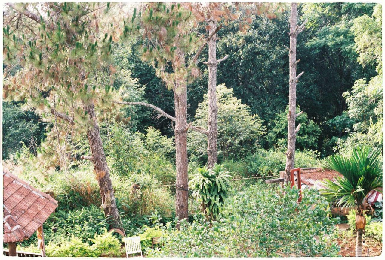 Sum Villa Homestay Mang Den Kon Von Kla Exteriér fotografie